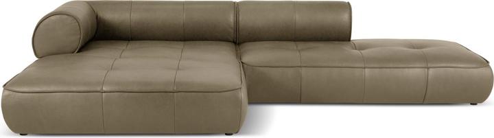 Dark olive green