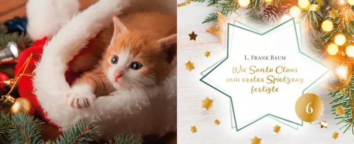 Actual product image Cat Stories