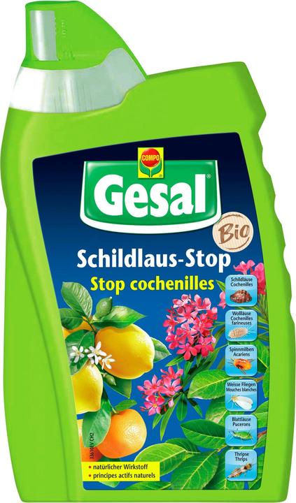 Gesal Schildlaus-Stop (Blattläuse, Weissen Fliegen, Spinnmilben)
