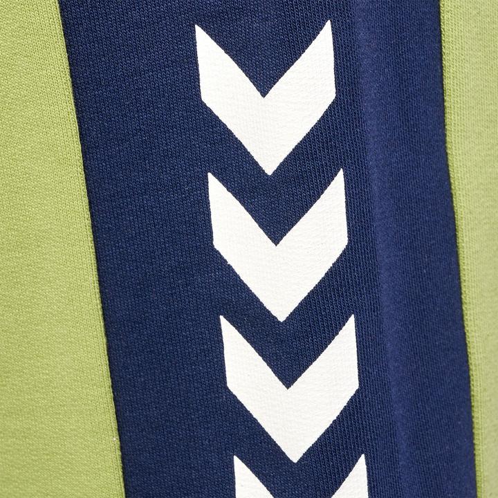 Image du produit hummel Hmlrush Block Shorts (134)