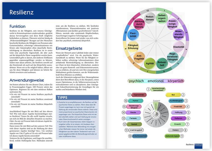 Immagine prodotto Praxisbuch Neue Homöopathie. Band 2 (Tedesco, Roswitha Stark, Christina Baumann, 2024)