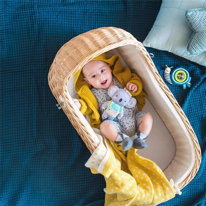 Image du produit Taf Toys Kimmy le Koala