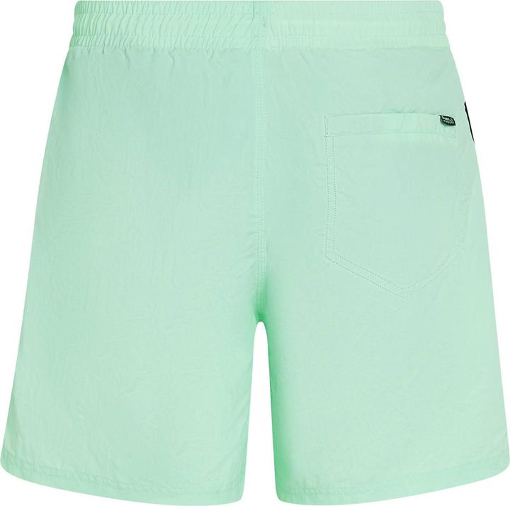 Produktbild O'Neill VERT 16" SWIMSHORTS (L)