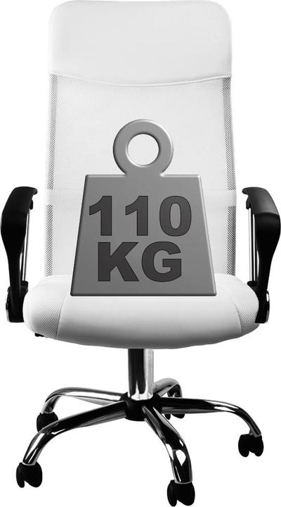 Image du produit Casaria Fauteuil de bureau premium