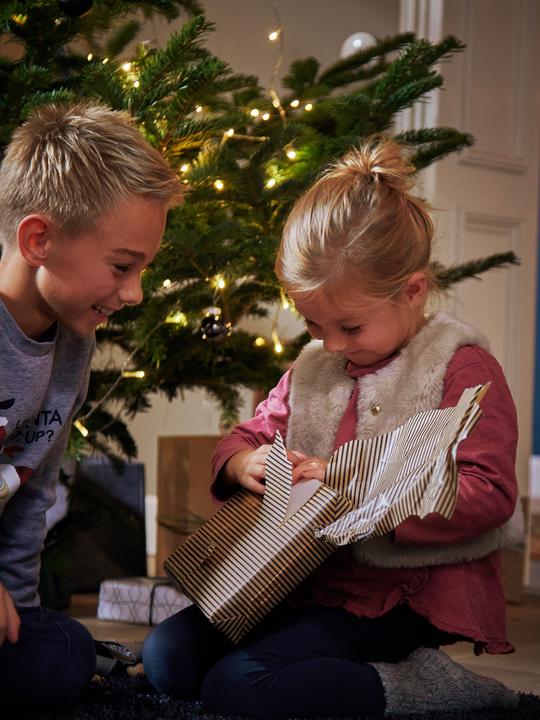Produktbild Haba Weihnachtskrippe