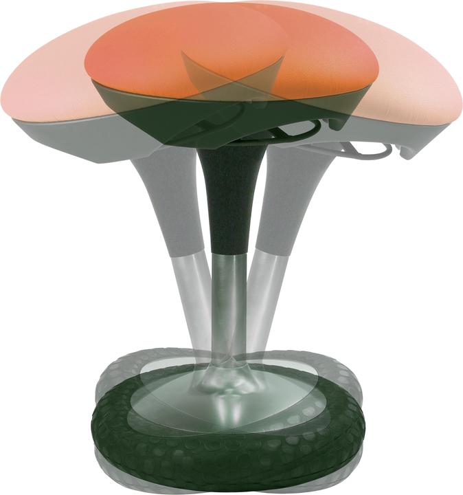 Image du produit Topstar Sitness 20