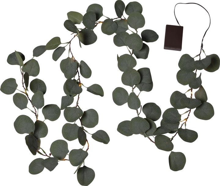 Star Trading Eucalyptus (1.80 m)