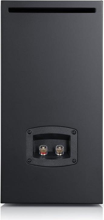 Produktbild Teufel Raumfeld Stereo M (WLAN)