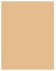 Actual product image Shiseido Revitalising Skin Glow Fond de Teint No 340 (340 Oak)