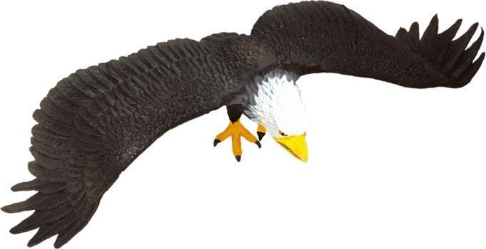 Image du produit Deluxebase DELUXE Rep Pals, Eagle