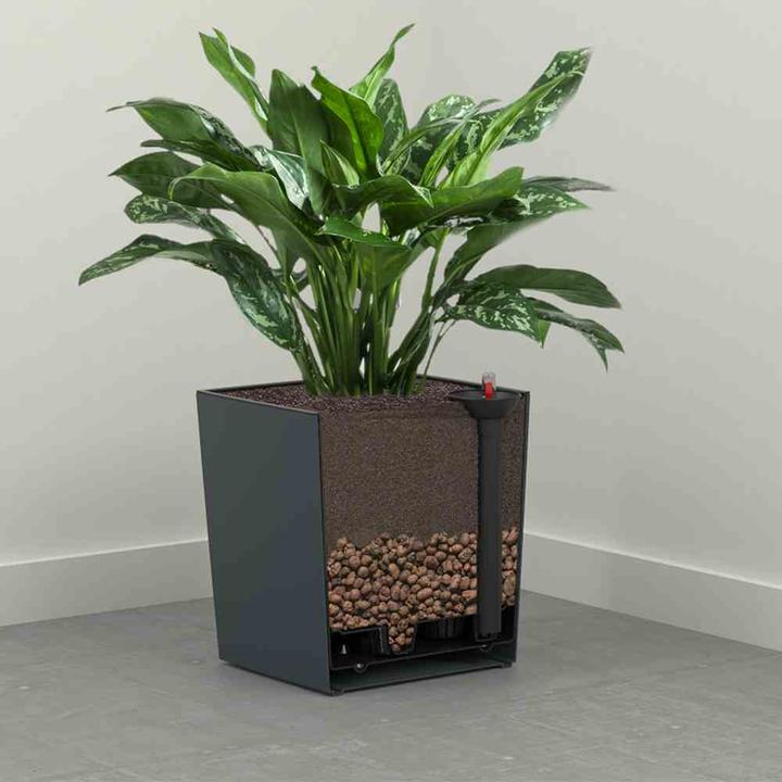 Actual product image Siena Garden Modern (30 cm)