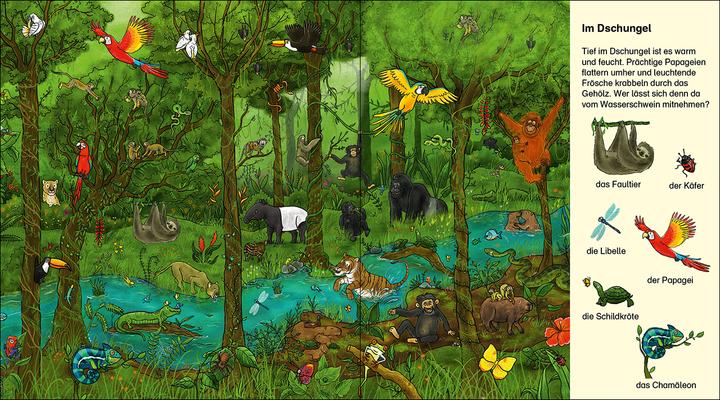 Produktbild Suche und finde! - Wilde Tiere (Deutsch, Loewe Meine allerersten Bücher, Diana Kohne, Tina Frankenstein-Börlin, 2023)