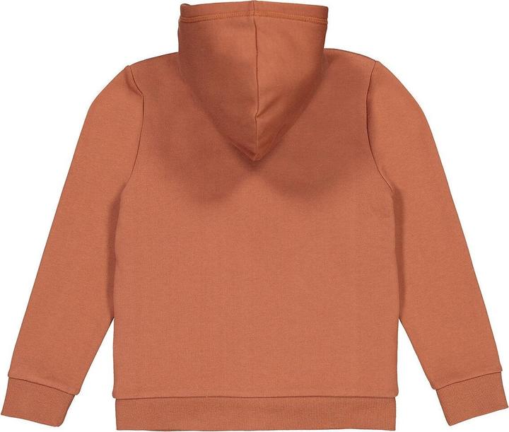 Produktbild La Redoute Collections Sweatjacke (94)