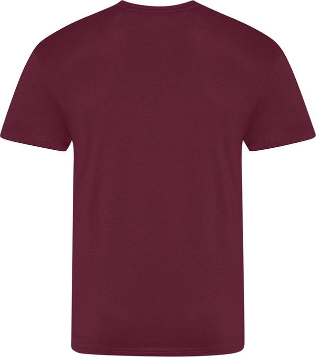 Image du produit Awdis The 100 TShirt (XXL)