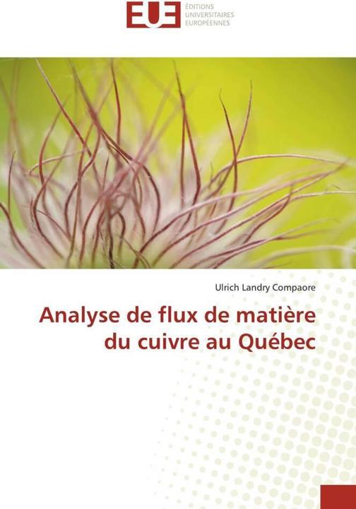 Produktbild Analyse de flux de matière du cuivre au Québec (Deutsch, Ulrich Landry Compaore, 2021)