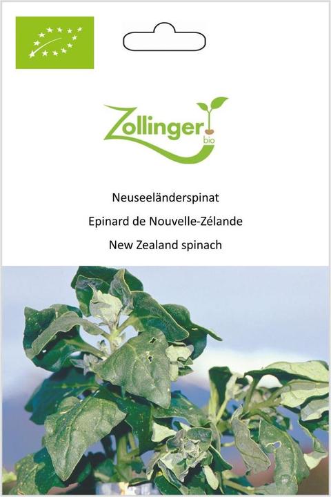 Produktbild Zollinger Bio Neuseeländerspinat (Pflanzensamen)