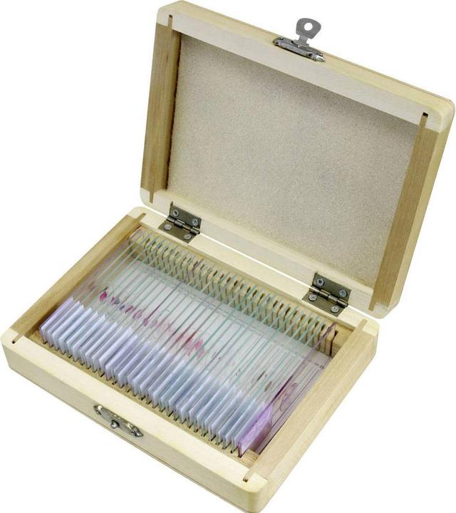 Produktbild Bresser Dauerpräparate: Histologie