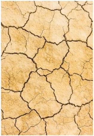 Actual product image Map desert floor, double card (1 pcs.)