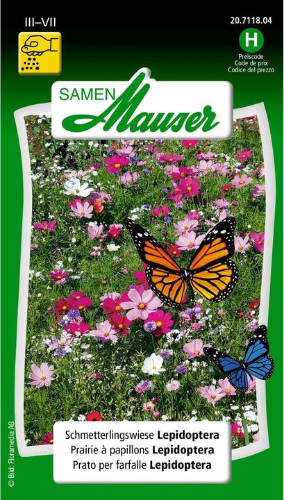 Produktbild Samen Mauser Schmetterlingswiese Lepidoptera (Rasensamen)