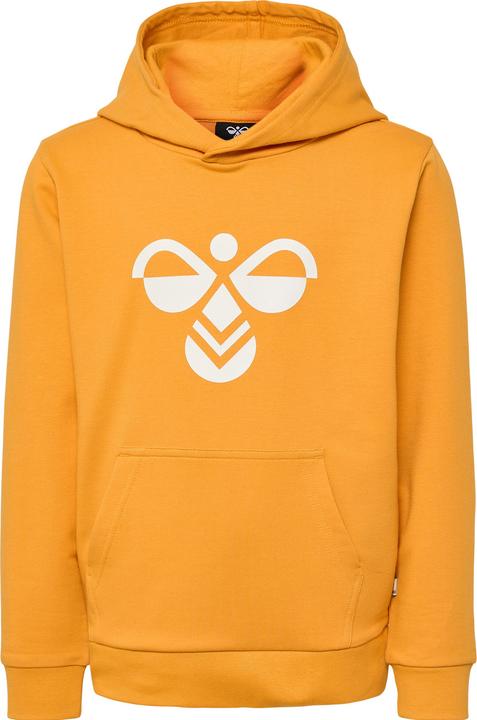 Image du produit hummel hmlCUATRO HOODIE (104)