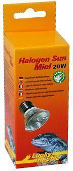 Produktbild Lucky Reptile Halogen Spotstrahler Sun Mini 20W 2Stk