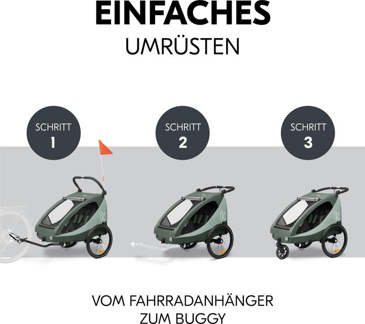 Actual product image Hauck Dryk Duo Plus Fahrradanhänger