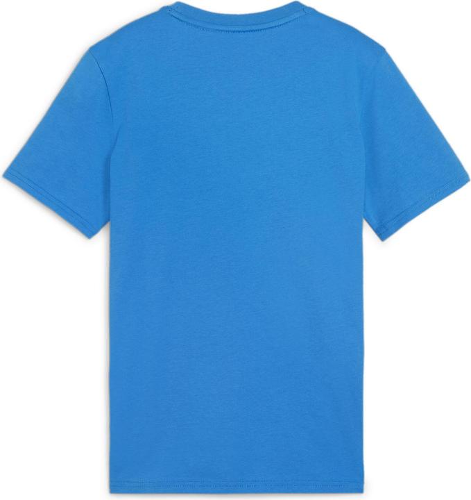 Actual product image Puma teamGOAL Casuals Tee Jr (164)
