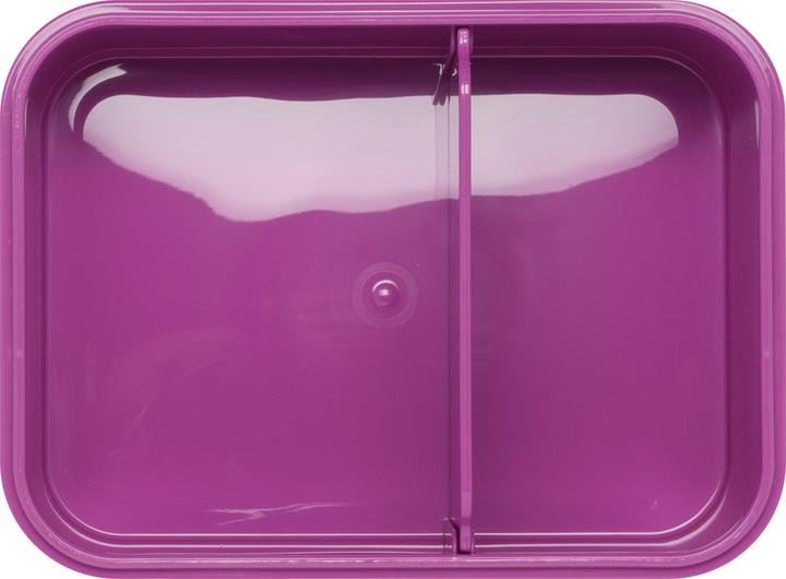 Actual product image Beckmann Lunchbox