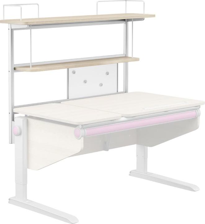 Produktbild Moll Winner (116 x 28 cm)