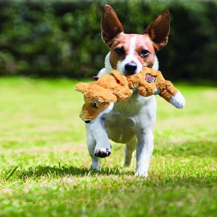 Actual product image KONG 35585454382 Hunde-/Katzenspielzeug (Plush toy dog)