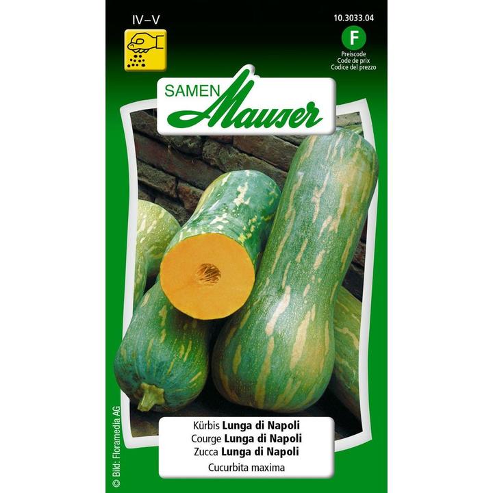 Immagine prodotto Samen Mauser Zucca Lunga di Napoli (Semi di verdura)