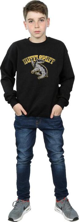 Produktbild Hufflepuff Sport Emblem Sweatshirt Jungen (140, 146)