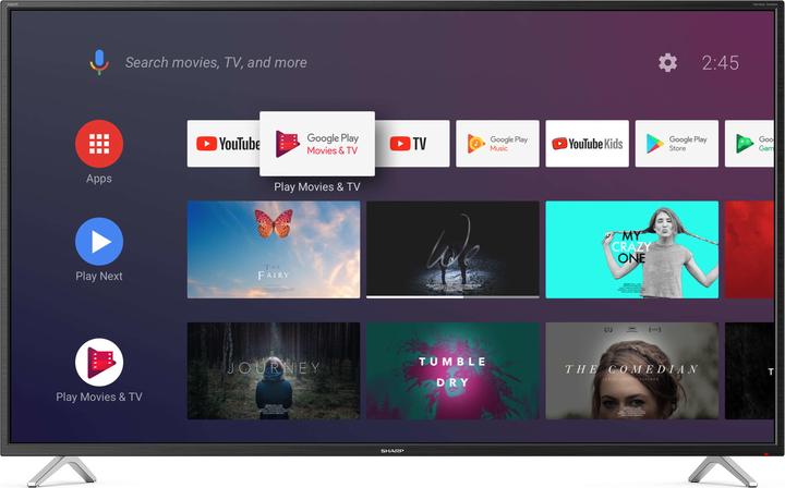 Sharp TV 55BL2EA (55", BL2EF, LCD, 4K, 2019)