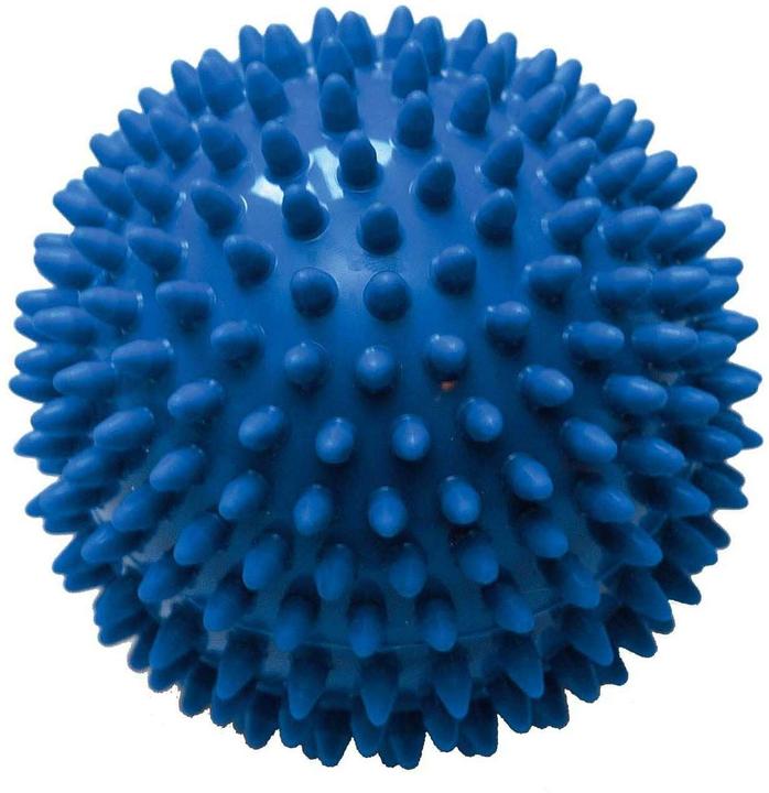 Actual product image Sissel Spiky Ball