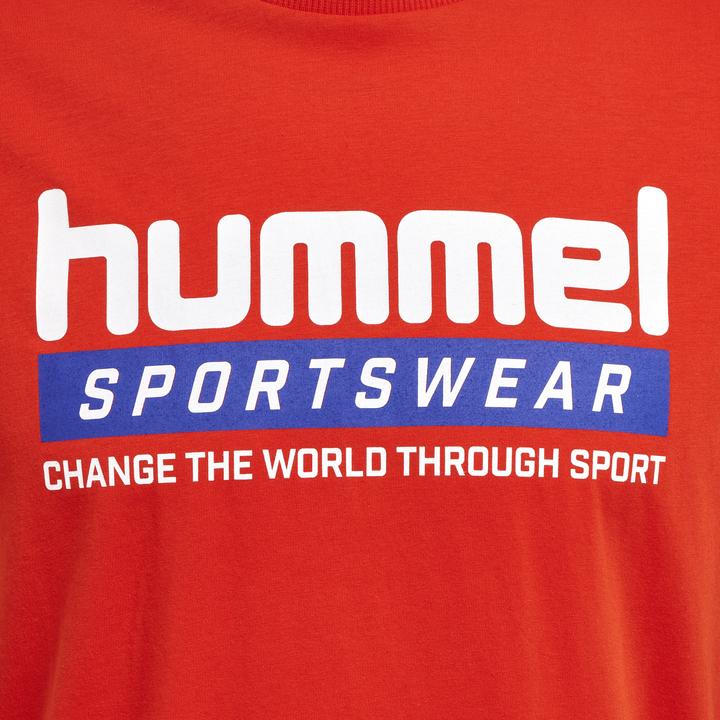 Actual product image hummel Lgc Carson T-Shirt (L)