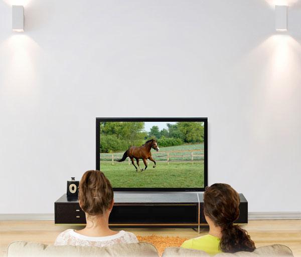 Actual product image Ergotron Glide HD (Wall, 60")