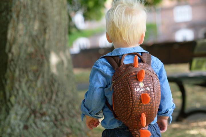 Actual product image Littlelife Toddler Backpack