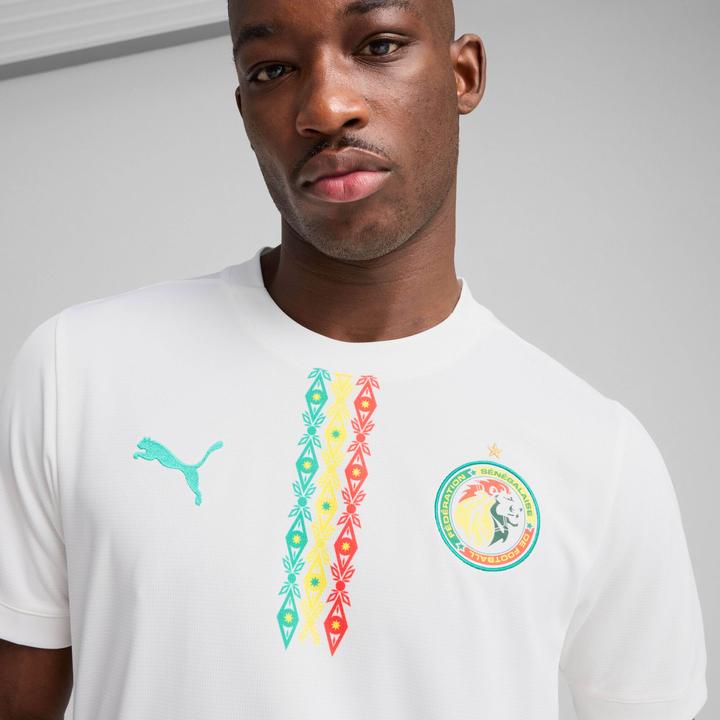 Actual product image Puma FSF Home Jersey Replica (M)