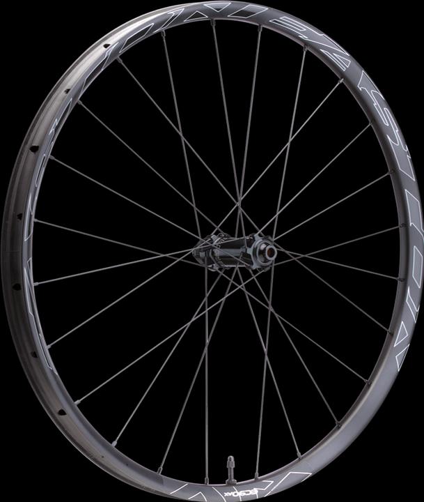 Immagine prodotto Easton EA90 AX Road CLN disco anteriore 12x100/15x100 (Ruota anteriore, 28")