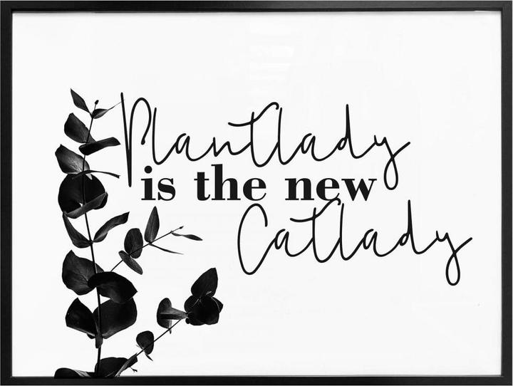 Produktbild Trenddeko Plantlady is the new catlady (30 x 24 cm)