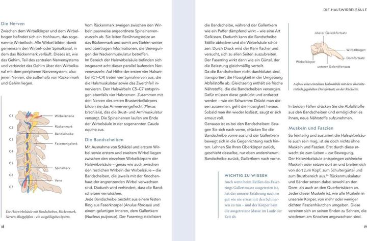Actual product image Nacken Schmerzen selbst behandeln (German, Roland Liebscher-Bracht, Petra Bracht, 2021)