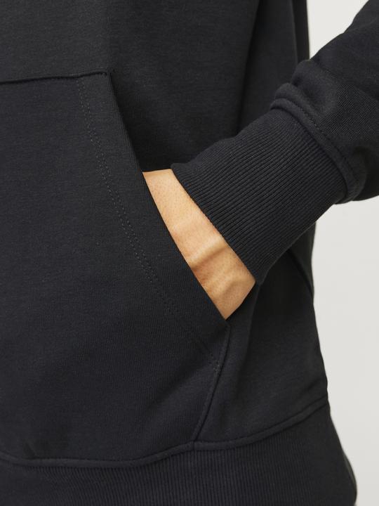 Immagine prodotto Jack & Jones Jorbronx Arch Big Sweat Hood Ln (S)