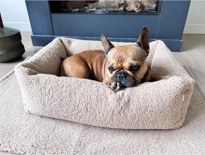 Image du produit Laboni Lit pour chien Classic Teddy L (Chien)