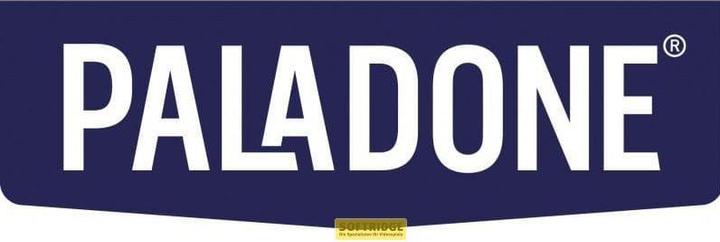 Actual product image Paladone Products Disney Playing Cards Lion King