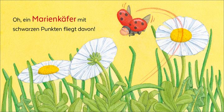 Actual product image Brosche:Wer hat sich denn hier versteck (German, Heidemarie Brooch, Mele Brink, 2025)