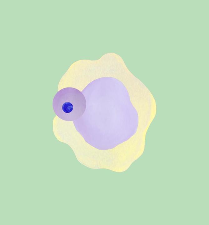 Immagine prodotto kollektiv vier Ciclo (180 x 200 cm)