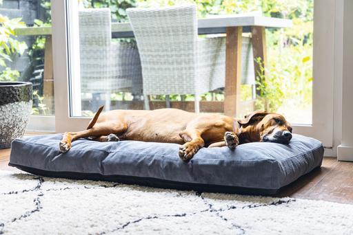 Image du produit Beeztees Coussin de couchage Orthopedic Veo (Chien)