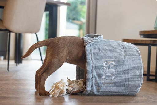 Immagine prodotto Beeztees Cestini portagiochi per cuccioli