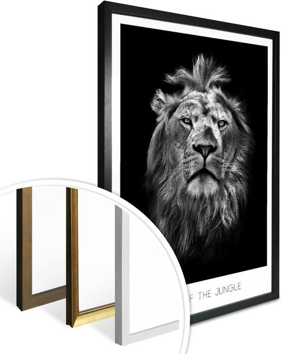 Produktbild Trenddeko Lion - King of the Jungle (100 x 120 cm)