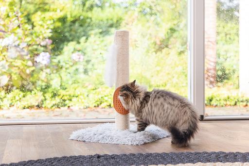 Immagine prodotto Beeztees Pflegehandschuh (Gatto)